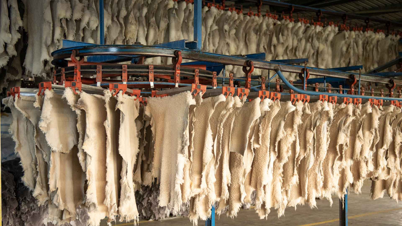 Leather Tannery Process Explained | Sustainable Leather Production by ...