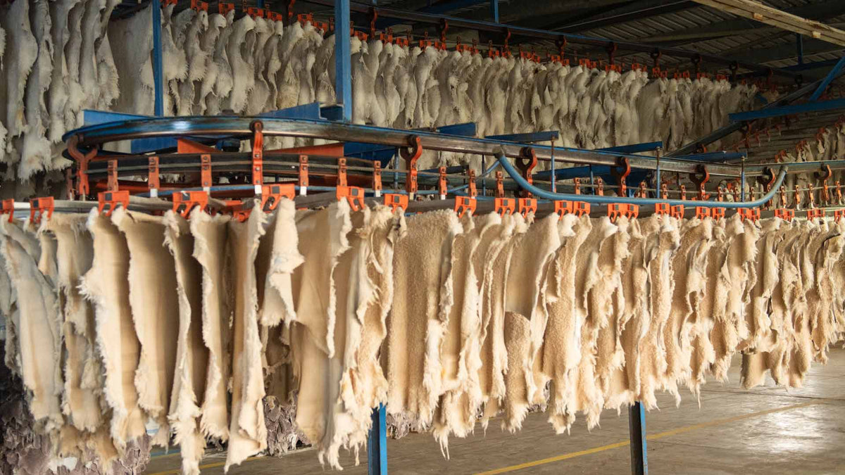 What Is a Tannery? Sheepskin Tanning Process Explained – Erdogan Deri
