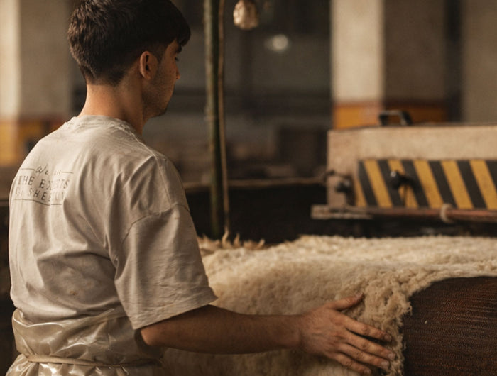 <h2>Eine zertifizierte, nachhaltige und weltweit starke Zukunft<br/></h2>