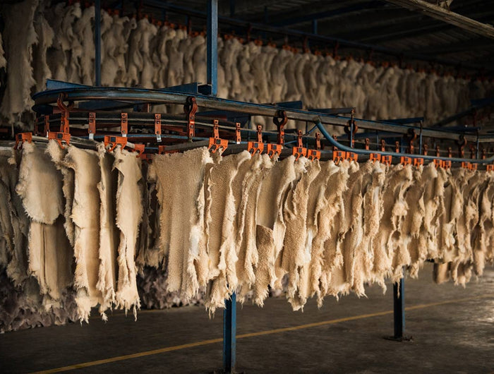 <h3>Vertrauenswürdig für internationale Partner<br/></h3>