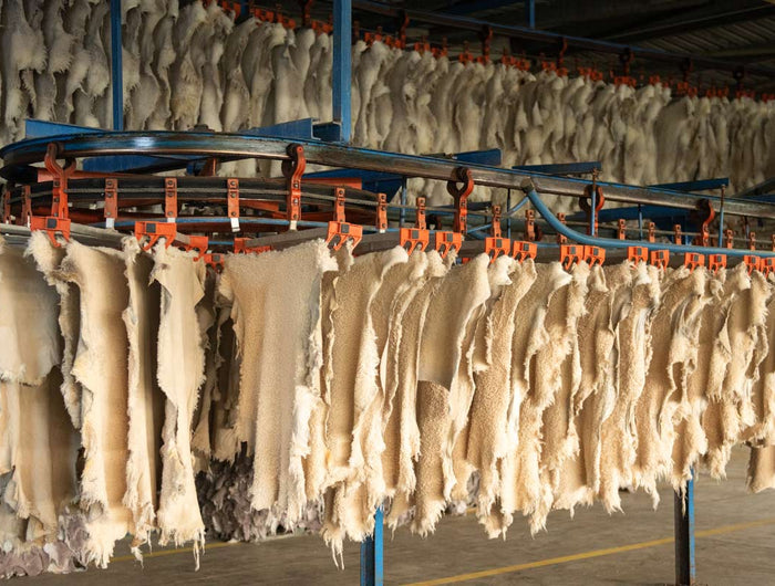 <h3>Dyeing, drying & finishing</h3>